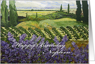 Vineyard/Wildflowers /Trees Landscape-Happy Birthday Nephew card