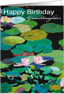Pink Water Lilies and Pods - Happy Birthday Granddaughter card