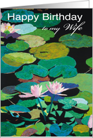 Pink Water Lilies and Pods - Happy Birthday Wife card