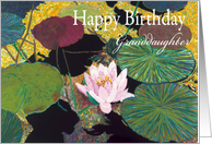 Pink Water Lily and Pods-Happy Birthday Granddaughter card