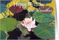 Pink Water Lily and Pods-Happy Birthday Grandmother card