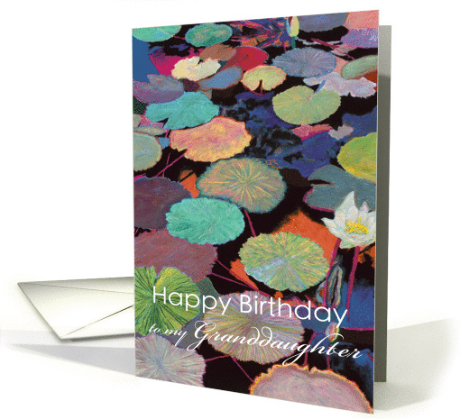 White water lily and multi-colored pods-Happy Birthday... (1123554)