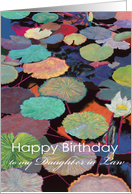 White water lily and multi-colored pods-Happy Birthday Daughter in Law card