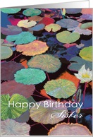 White water lily and multi-colored pods-Happy Birthday Sister card