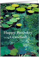 Green Water Lily Pond - Happy Birthday Grandson card