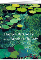 Green Water Lily Pond - Happy Birthday Brother in Law card