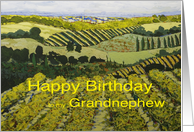Vineyards & Fields Landscape- Happy Birthday Grandnephew card