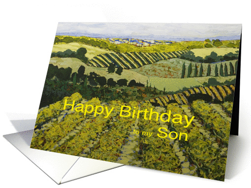 Vineyards & Fields Landscape- Happy Birthday Son card (1125380)
