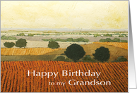 Warm Vineyards & Fields Landscape- Happy Birthday Grandson card