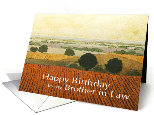 Warm Vineyards & Fields Landscape- Happy Birthday Brother in Law card
