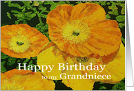 Large Orange Poppies - Happy Birthday Grandniece card