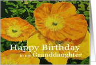 Large Orange Poppies - Happy Birthday Granddaughter card