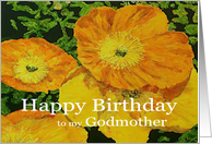 Large Orange Poppies - Happy Birthday Godmother card
