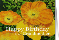Large Orange Poppies - Happy Birthday Grandmother card