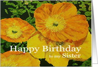 Large Orange Poppies - Happy Birthday Sister card