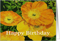 Large Orange Poppies - Happy Birthday card