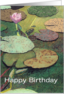 Pink Water Lily & Pods - Happy Birthday card