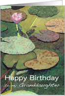 Pink Water Lily & Pods - Happy Birthday Granddaughter card