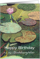 Pink Water Lily & Pods - Happy Birthday Goddaughter card