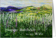 Happy Birthday Wife ...