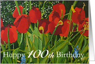Happy 100th Birthday - Red Tulips card