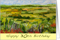 Happy 30th Birthday - Landscape and Red Wildflowers card