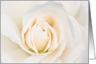 White Rose Anniversary Card