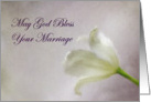 God’s Blessing on Marriage Tulip card