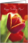 Happy Birthday Mom Floral Religious Card