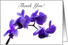 Purple Orchid Thank You for Kindness card