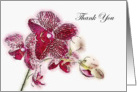 Magenta Orchids Thank You Blessings card