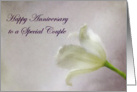 Happy Anniversary Special Couple card