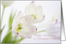 Happy Anniversary Couple Pink Tulips card