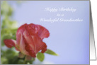 Floral Happy Birthday to Grandmother card