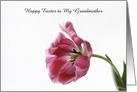 Happy Easter Tulip Custom Front card