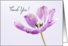 Thank You for Kindness Tulip card