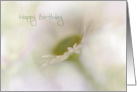 Dreamy Floral Happy Birthday card