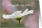 White Cosmo Flower Happy Birthday Custom Front card