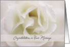 Congratulations on Marriage Soft White Rose card