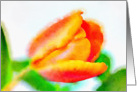 Watercolor Orange Tulip Notecard Blank Inside card