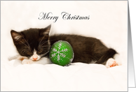 Merry Christmas Sleeping Kitten card