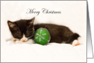 Merry Christmas Sleeping Kitten card