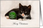 Merry Christmas Kitten card