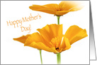 Happy Mother’s Day Orange Poppies card