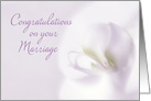 Orchid Marriage Congratulations card