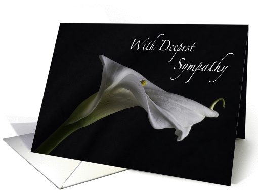 Deepest Sympathy-Calla Lily card (1207952)