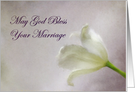 God’s Blessing on Marriage Tulip card