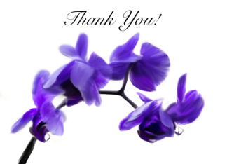 Purple Orchid Thank...