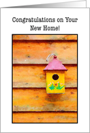 Bird House New Home...