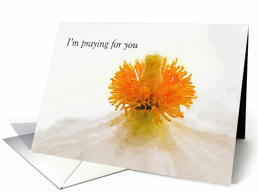 Watercolor Poppy Prayer card (1403838)